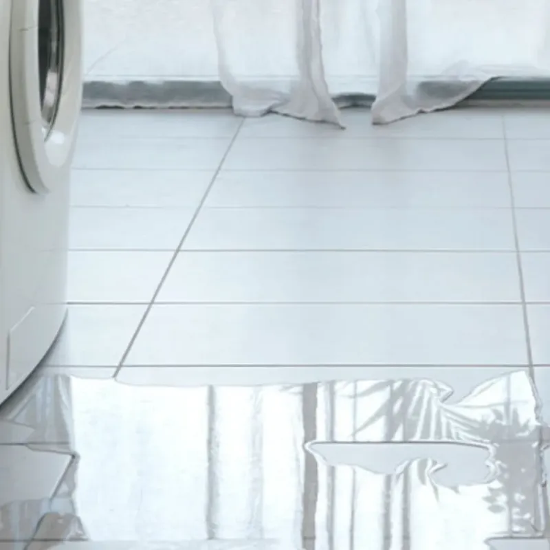 Appliance Leak Cleanup in Courtland, VA