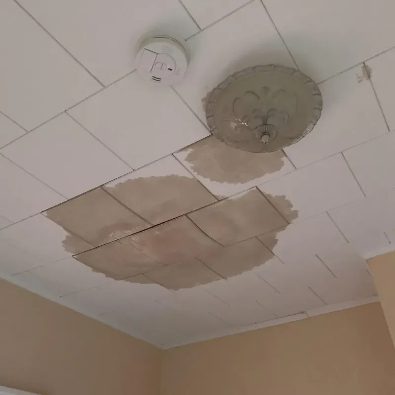 Ceiling Water Damage Repair in Courtland, VA