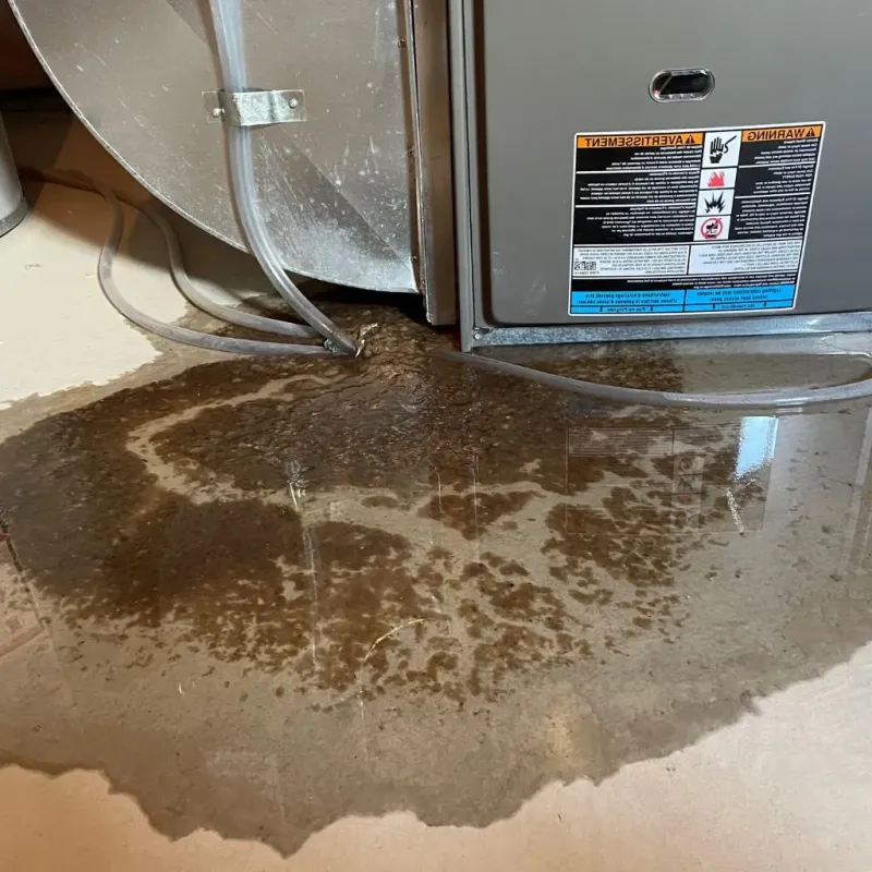 Pipe Burst and Leak Restoration in Courtland, VA