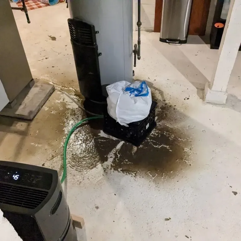Sewage Backup Cleanup Service in Courtland, VA